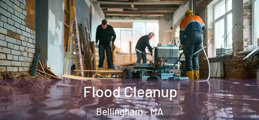  Flood Cleanup Bellingham - MA