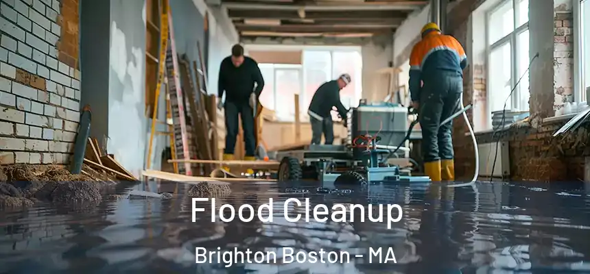  Flood Cleanup Brighton Boston - MA