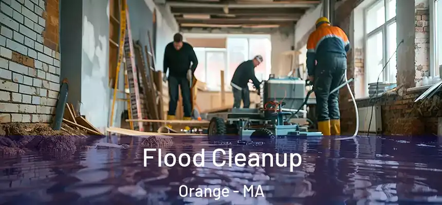 Flood Cleanup Orange - MA