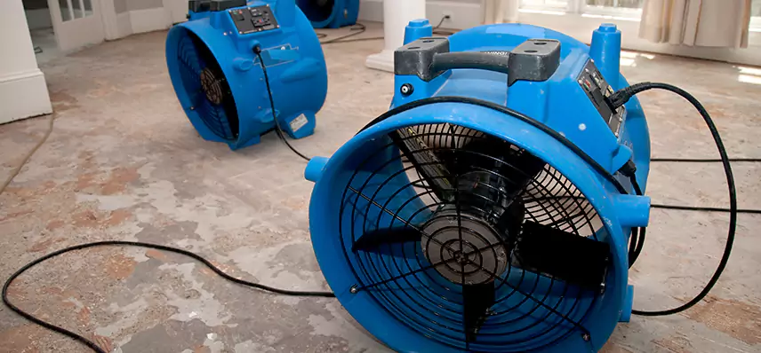 Sewage Removal Services in Boston