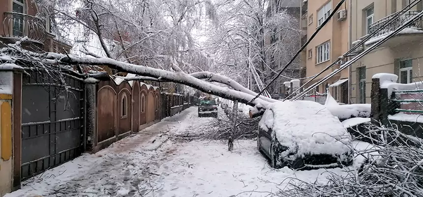 Winter Storm Damage Repair in Boston