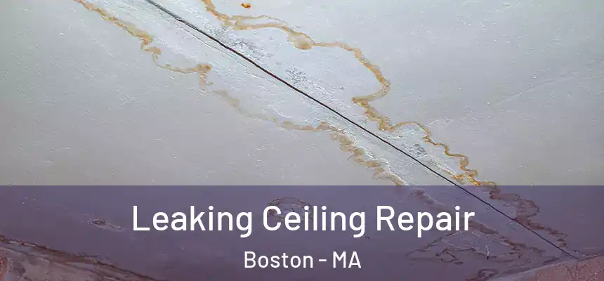  Leaking Ceiling Repair Boston - MA