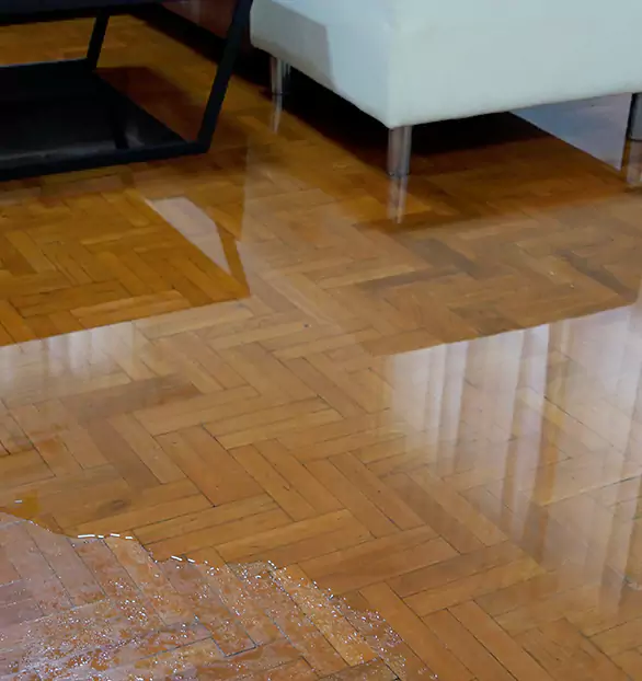 Trusted Emergency Water Restoration Company in Boston, MA