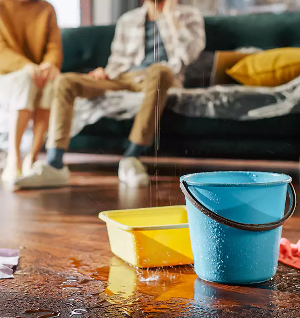 Trusted Water Mitigation Company in Boston, MA