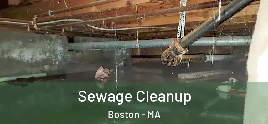  Sewage Cleanup Boston - MA