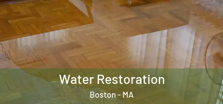  Water Restoration Boston - MA